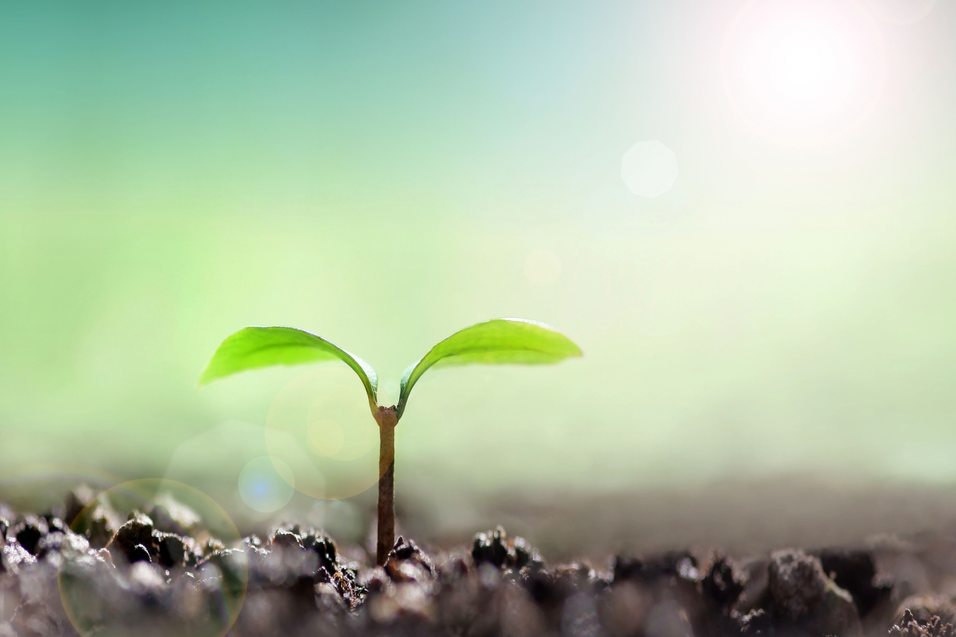 現状を変化させたい